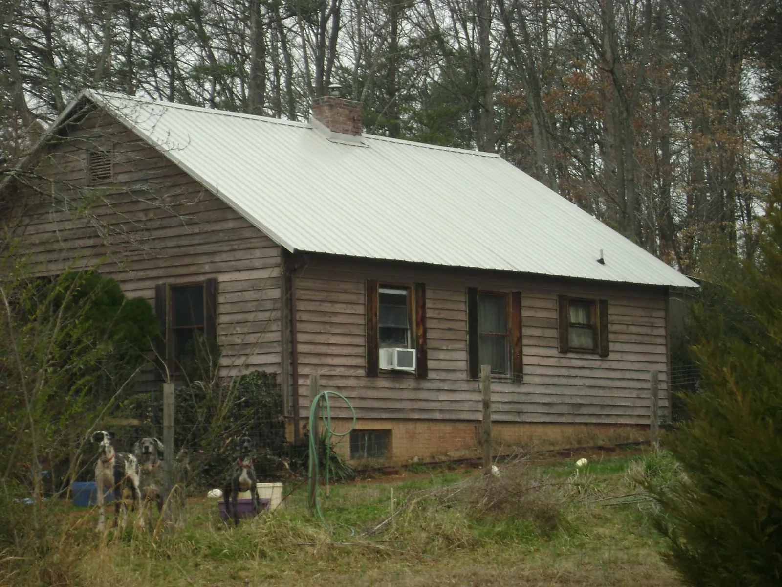 White metal roof on an old wood sided farmhouse, from a Metal Roof Installation job in Sigurd